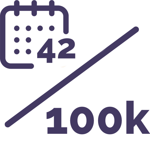 Maternal Mortality Ratio icon