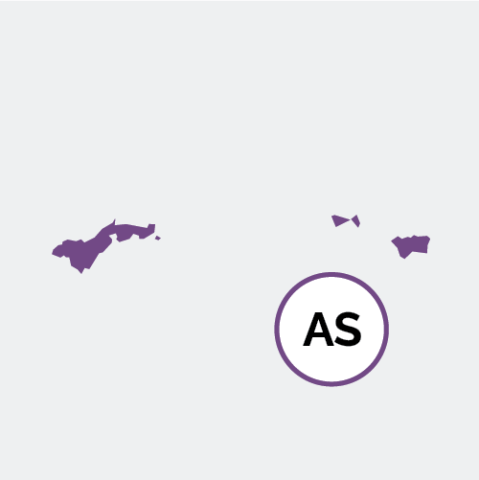 American Samoa state icon