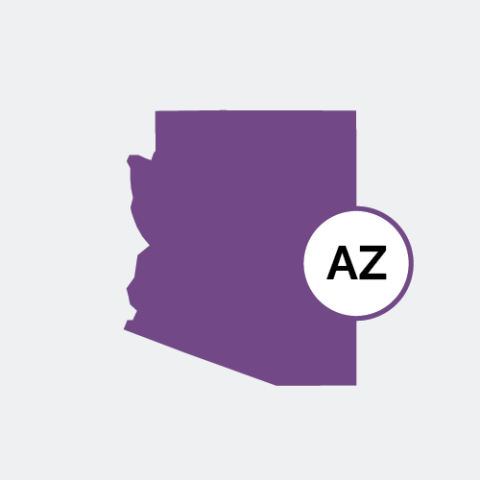 Arizona state icon
