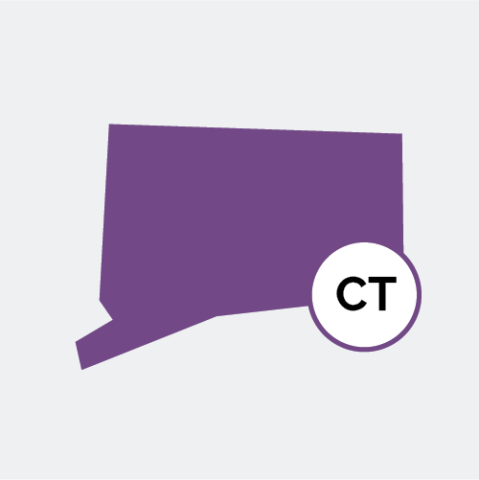 Connecticut state icon