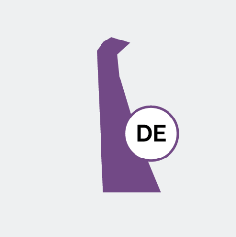 Delaware state icon