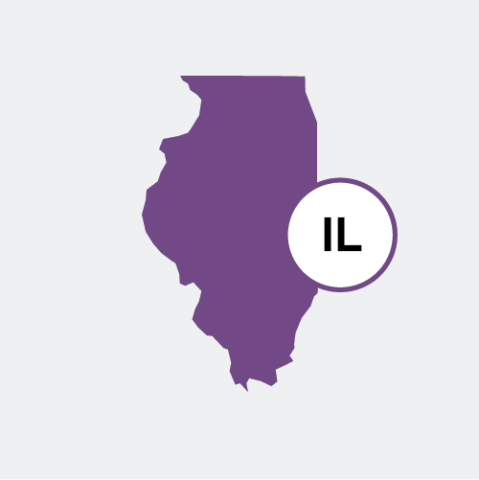 Illinois state icon