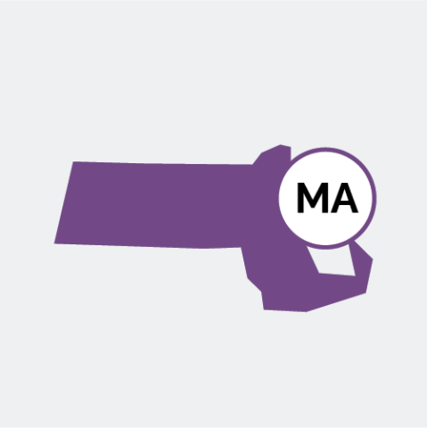 Massachusetts state icon