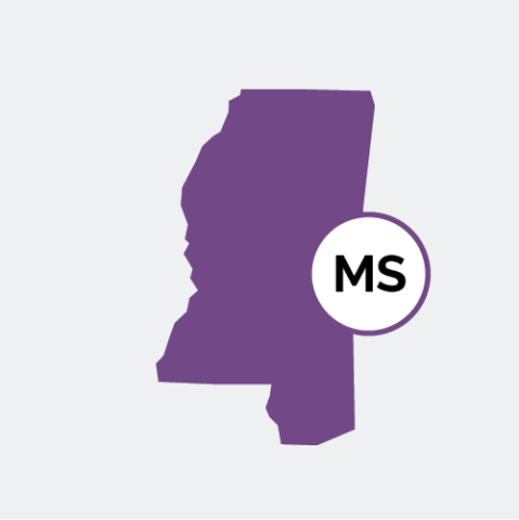 Mississippi state icon