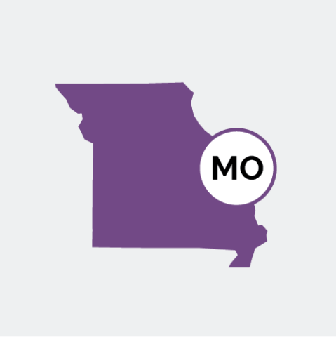 Missouri state icon
