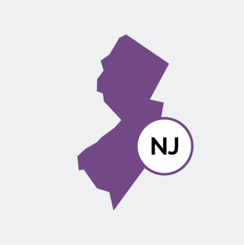 New Jersey state icon