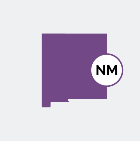 New Mexico state icon