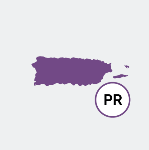 Puerto Rico state icon