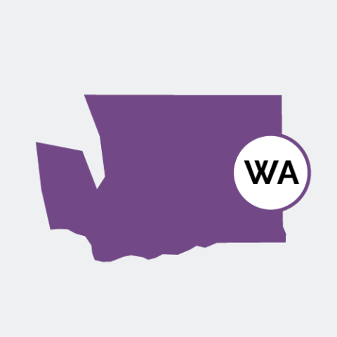 Washington state icon