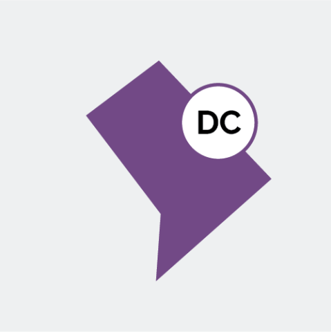 Washington, D.C. state icon