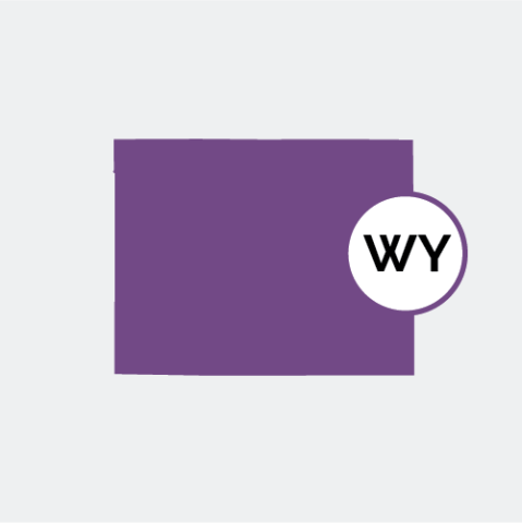 Wyoming state icon